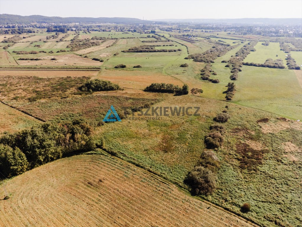 Działka rolna na sprzedaż Reda, Rolnicza  15 800m2 Foto 2