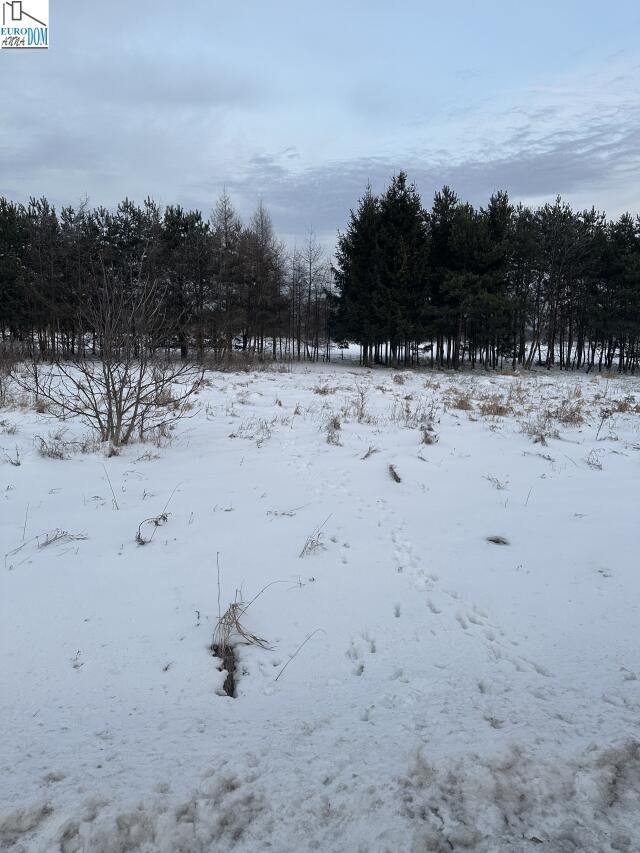 Działka budowlana na sprzedaż Dąbie  760m2 Foto 4