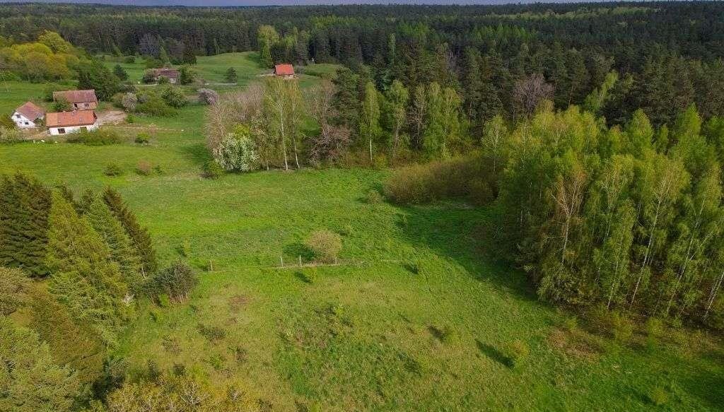 Działka rolna na sprzedaż Jakubowo  3 500m2 Foto 15