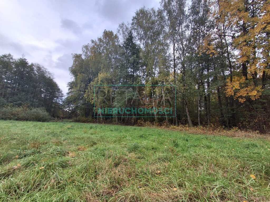 Działka budowlana na sprzedaż Radonie  6 000m2 Foto 1