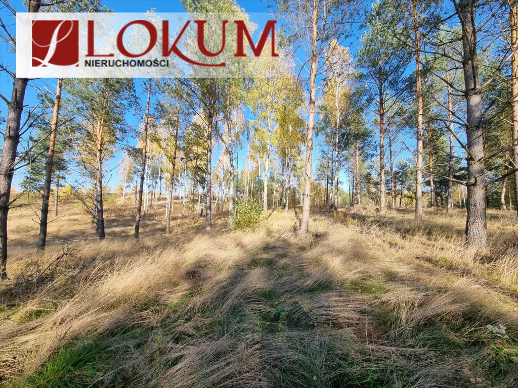 Działka budowlana na sprzedaż Chwarzno, Pionki  1 205m2 Foto 3