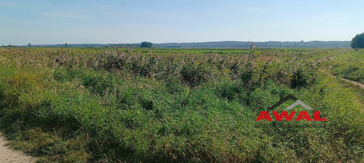 Działka gospodarstwo rolne na sprzedaż Karwieńskie Błoto Drugie  4 800m2 Foto 5