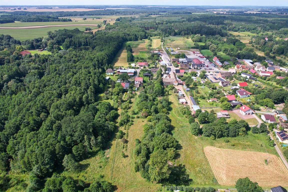 Działka inna na sprzedaż Wielka Wieś  4 000m2 Foto 6