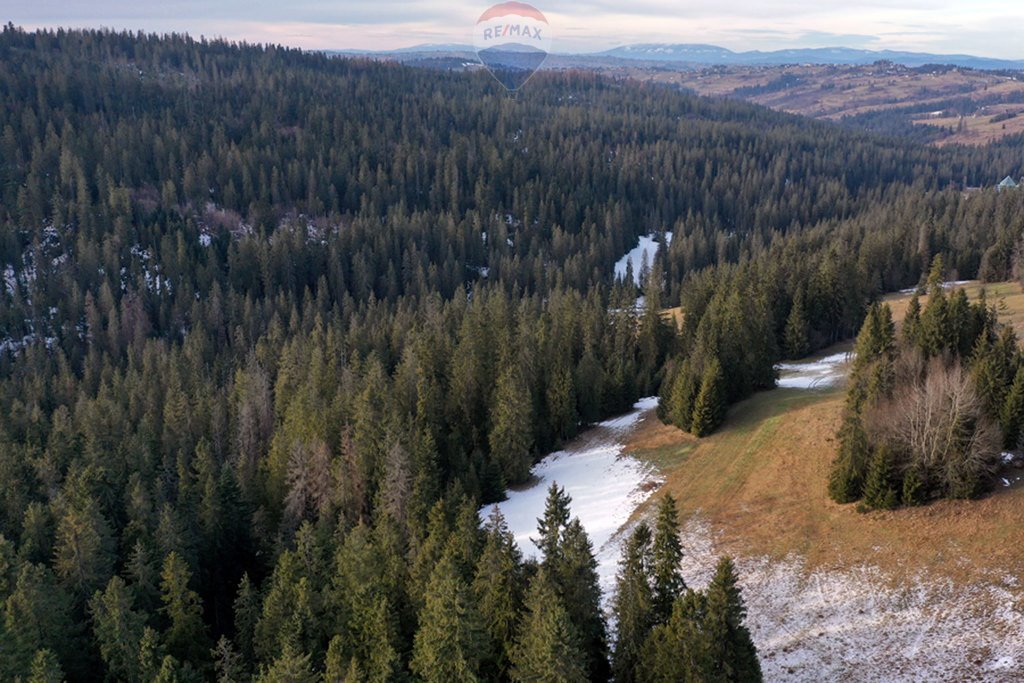 Działka rolna na sprzedaż Brzegi  4 535m2 Foto 10