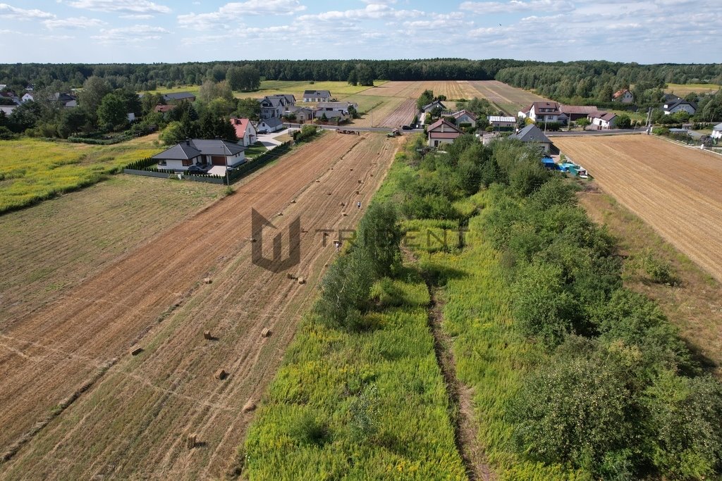 Działka budowlana na sprzedaż Wojciechowice  7 425m2 Foto 3