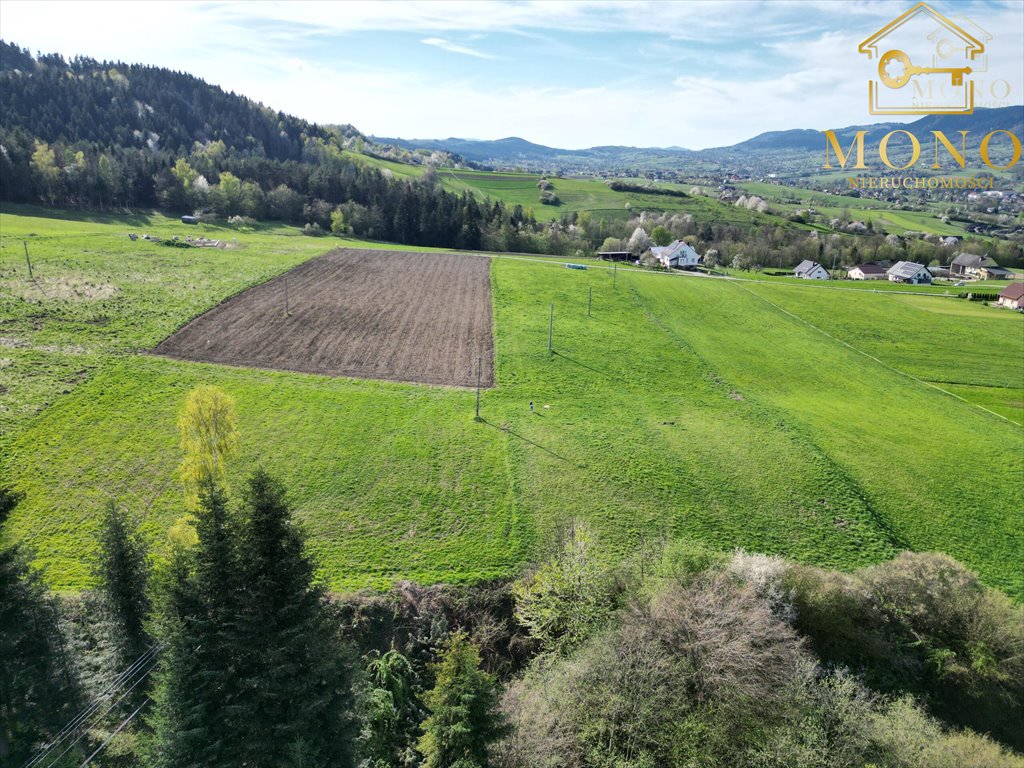 Działka rolna na sprzedaż Krasne Potockie  8 200m2 Foto 9