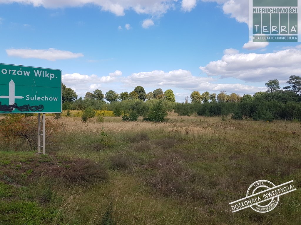 Działka przemysłowo-handlowa na sprzedaż Sulechów  27 508m2 Foto 1