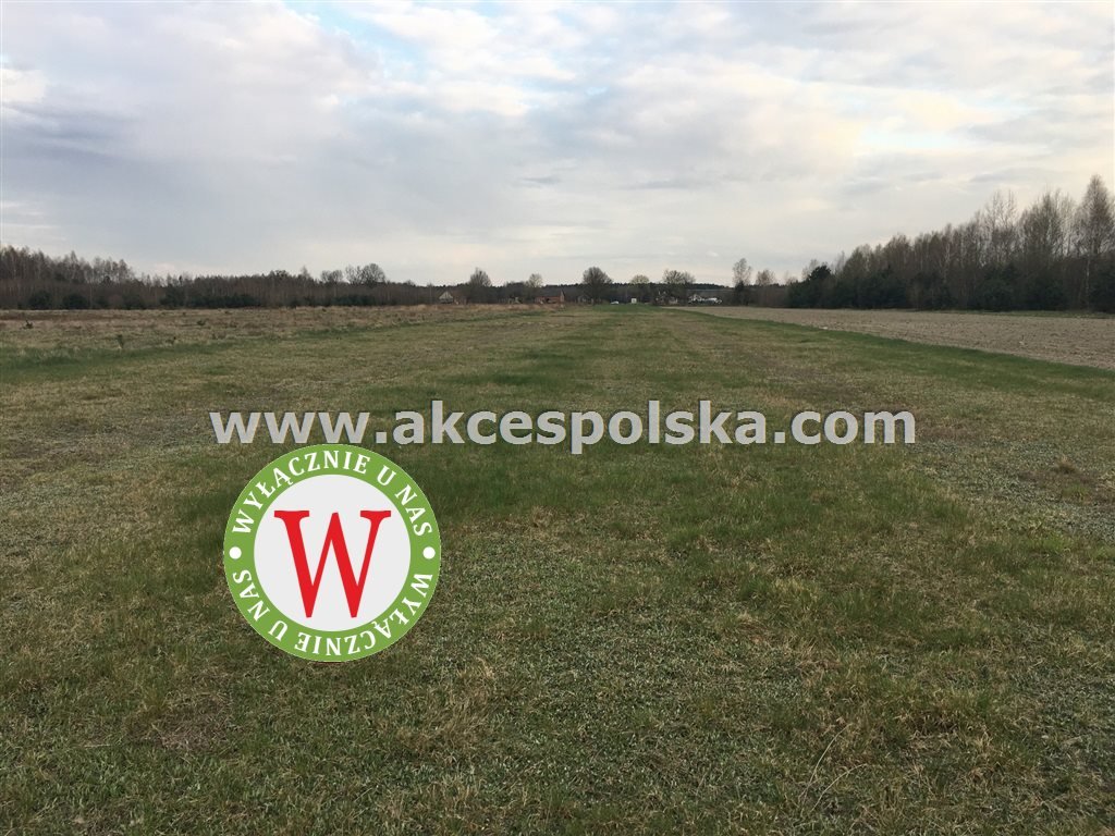 Działka inna na sprzedaż Zieleniec, Józefów  11 800m2 Foto 11