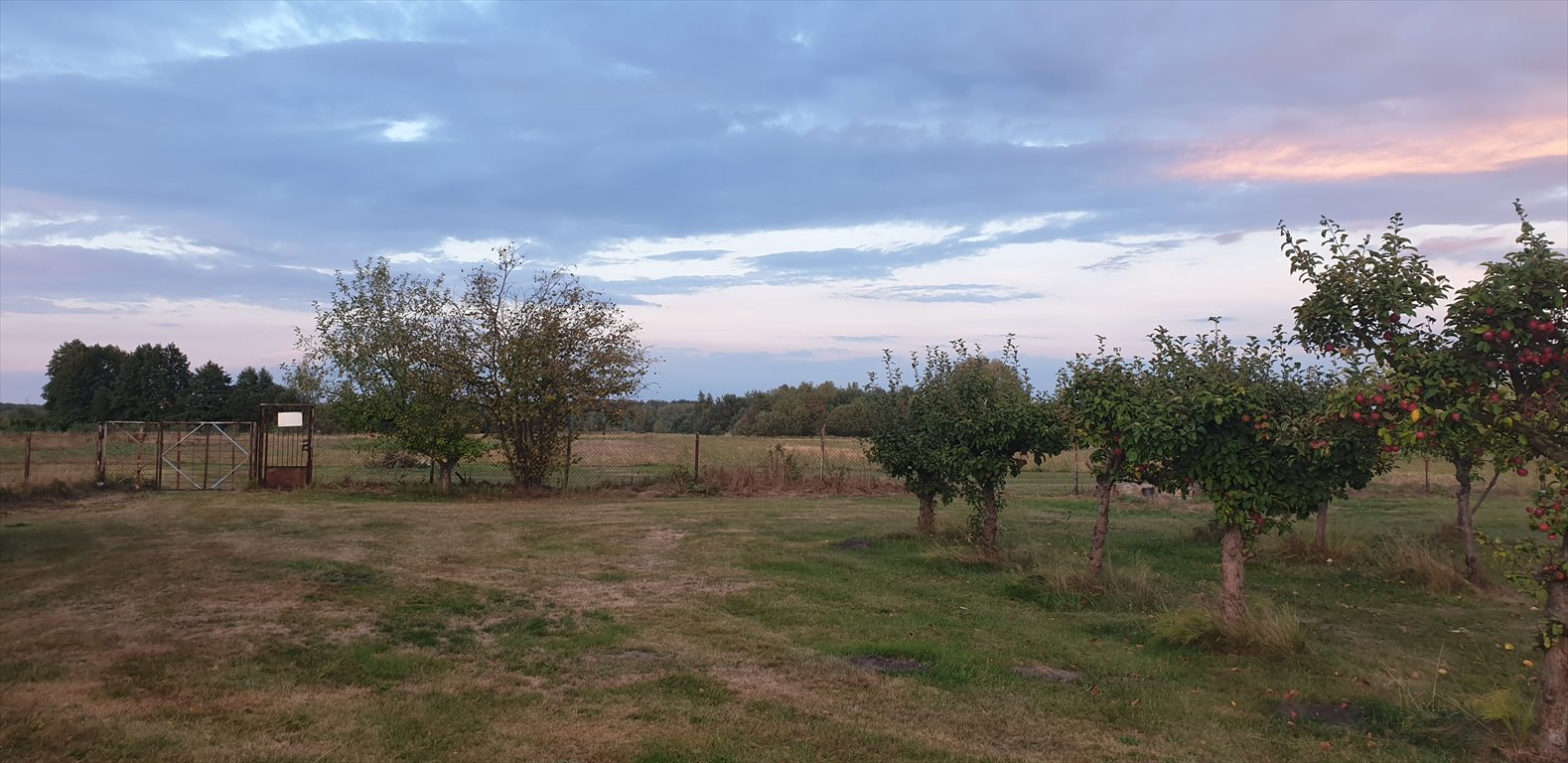 Dom na sprzedaż Skierniewice, Starbacicha-Gajówka  120m2 Foto 7