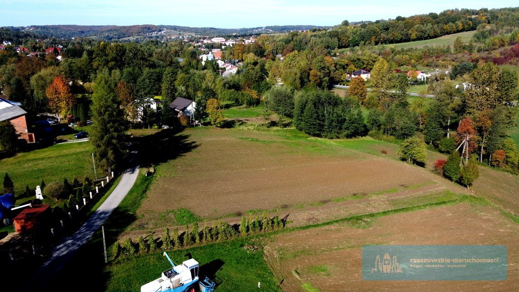 Działka budowlana na sprzedaż Chmielnik  4 800m2 Foto 9