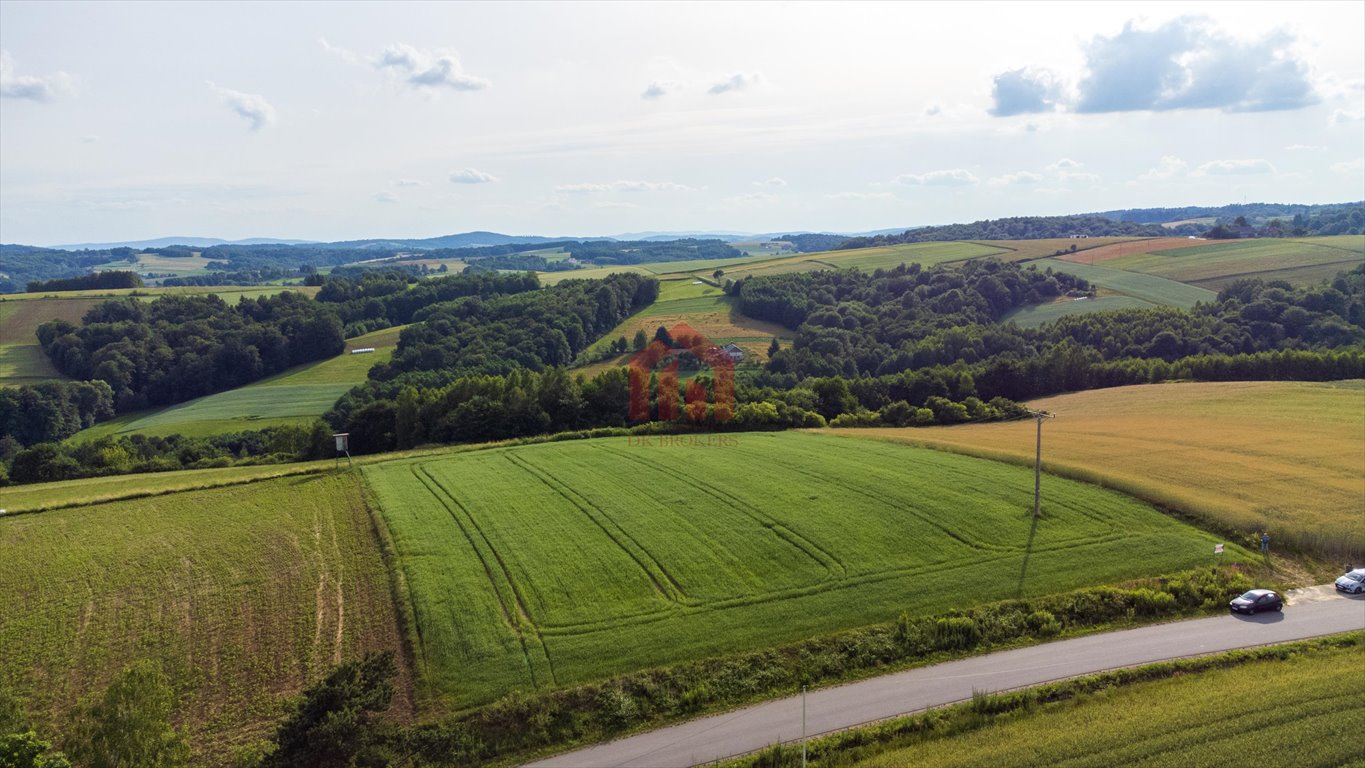 Działka budowlana na sprzedaż Wielopole Skrzyńskie  3 650m2 Foto 5