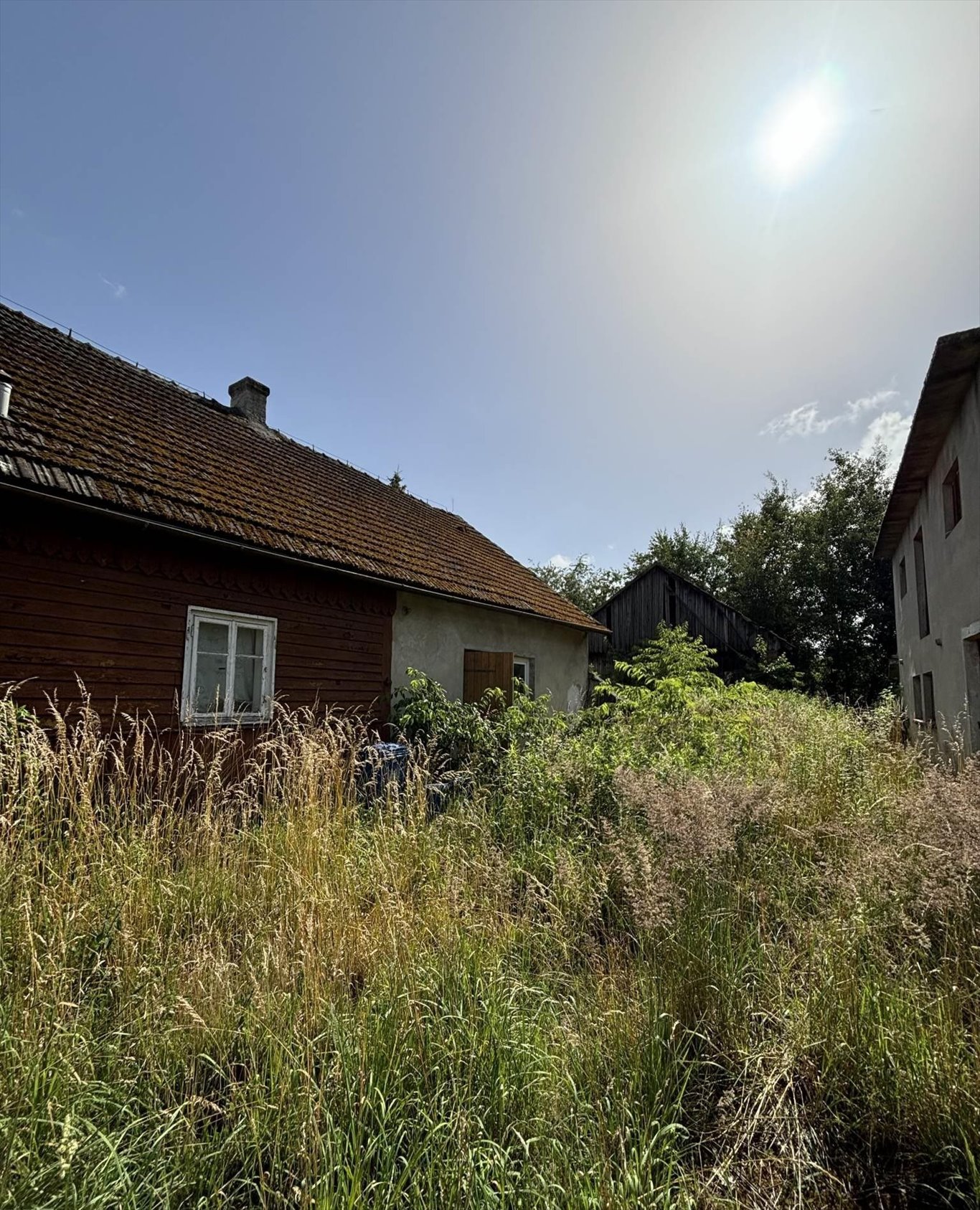 Działka budowlana na sprzedaż Wołowice  7 100m2 Foto 6