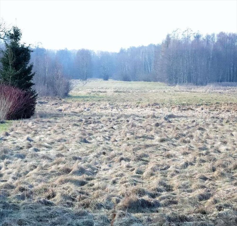 Działka budowlana na sprzedaż Wiśniew  1 700m2 Foto 5