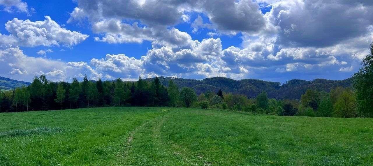 Działka rekreacyjna na sprzedaż Dębna  1 200m2 Foto 5