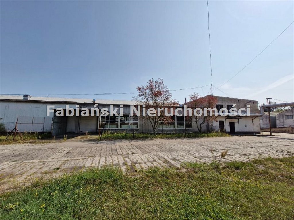 Magazyn na sprzedaż Łubnica  21 361m2 Foto 3