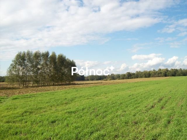 Działka rolna 3001 m² w Janowicach – prostokąt, dojazd polną drogą Janowicze  3 001m2 Foto 1