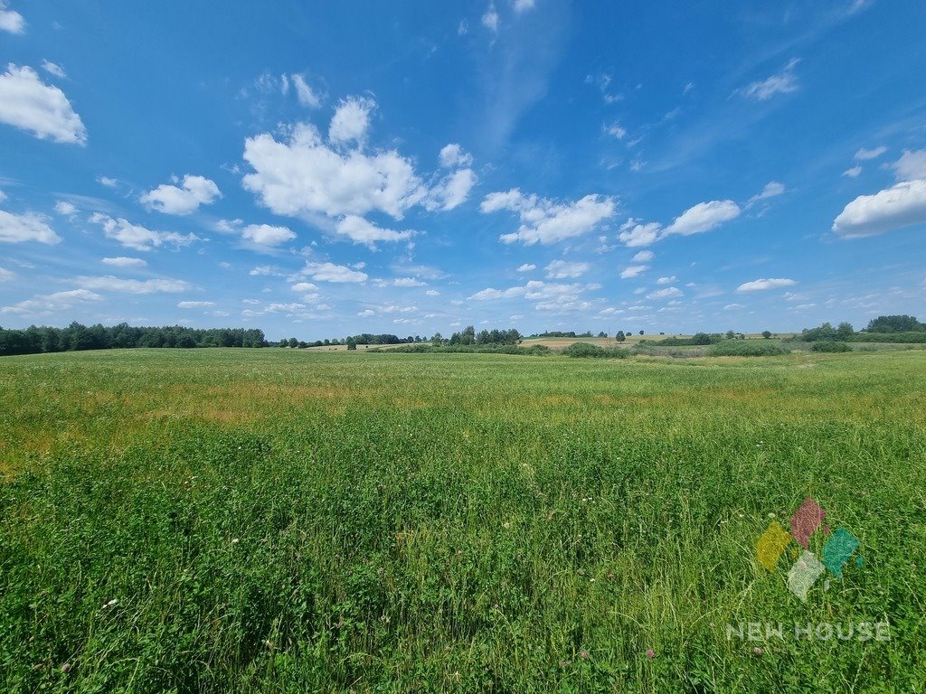 Działka budowlana na sprzedaż Pajtuny  3 193m2 Foto 10