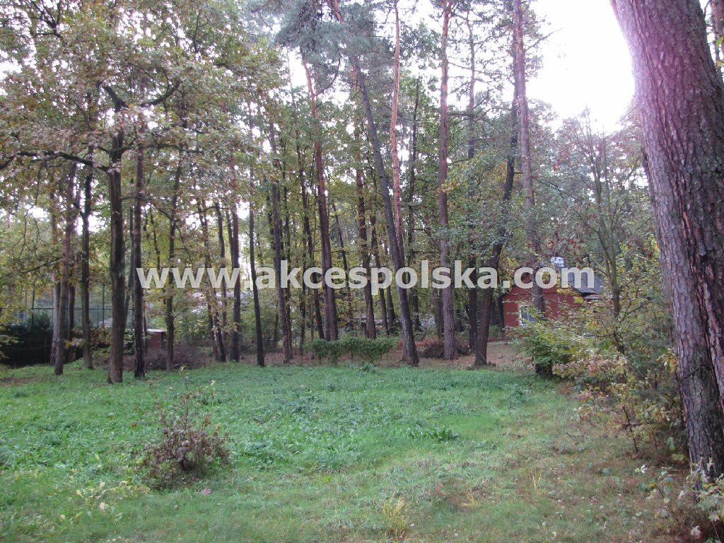 Działka 1600 m² z starodrzewem i mediami - polecam Zalesie Górne, Akacjowa  1 600m2 Foto 1