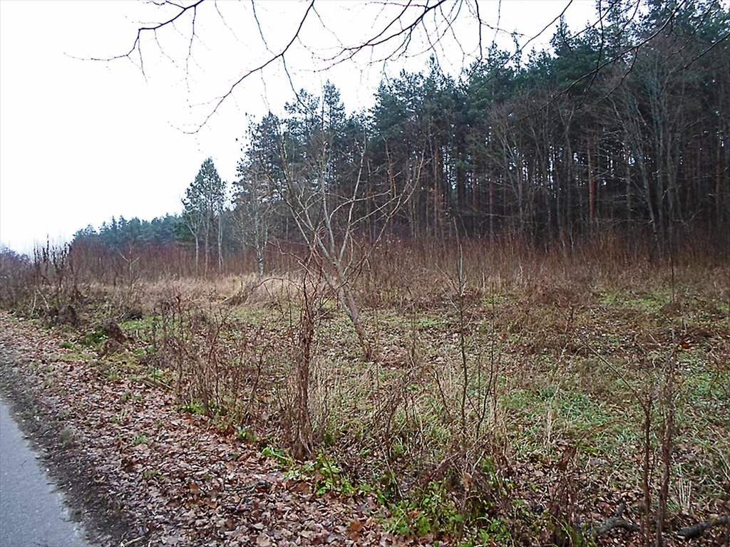 Działka budowlana na sprzedaż Tumiany 4 482m2 Foto 1 Działka budowlana na sprzedaż Tumiany 4 482m2 Foto 1