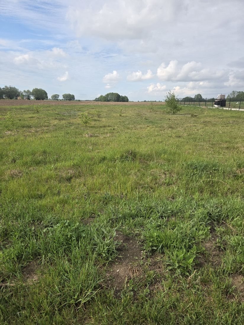 Sprzedam działkę 2400 m² w Sarbiewie z dostępem do mediów Sarbiewo  2 400m2 Foto 1