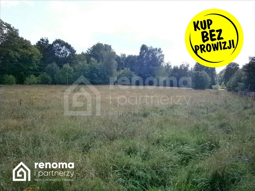 Działka gospodarstwo rolne na sprzedaż Chwarstno  259 000m2 Foto 2