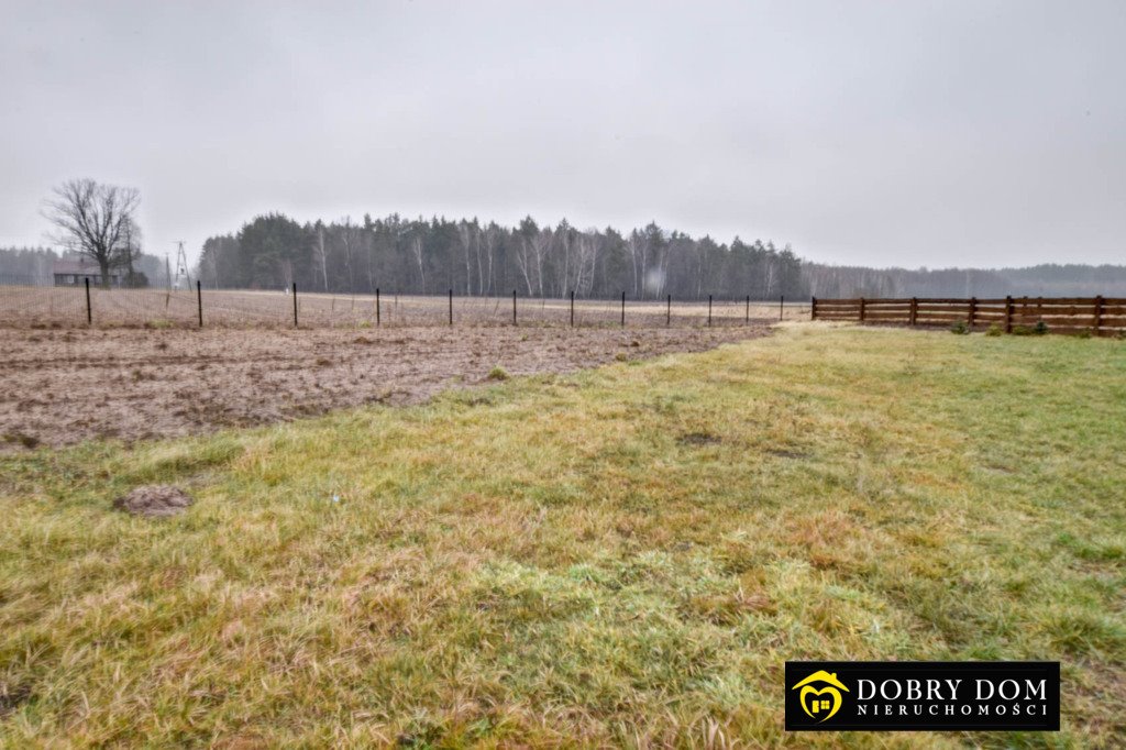 Działka siedliskowa na sprzedaż Brześcianka  10 000m2 Foto 14