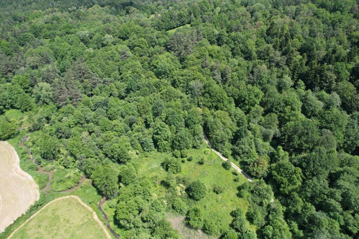 Działka rolna na sprzedaż Żohatyn, Żohatyn  6 100m2 Foto 1