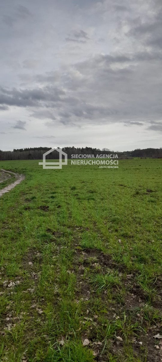 Działka budowlana na sprzedaż Sarbsk  254 000m2 Foto 12