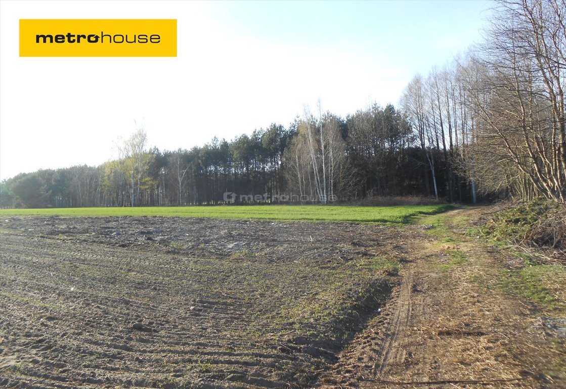 Działka budowlana na sprzedaż Stachlew  10 700m2 Foto 1