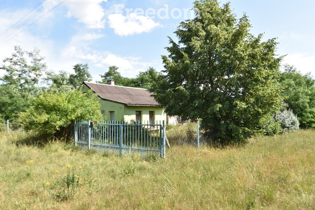 Działka budowlana na sprzedaż Osiny  4 500m2 Foto 1