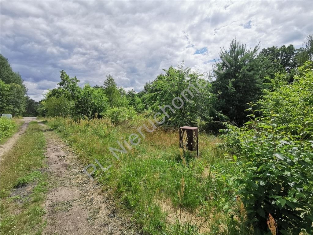 Działka budowlana w Żółwinie, 963 m2, cicha okolica Żółwin  963m2 Foto 1