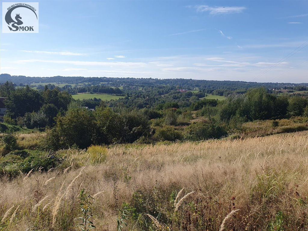 Działka rolna na sprzedaż Brzyczyna  3 500m2 Foto 2