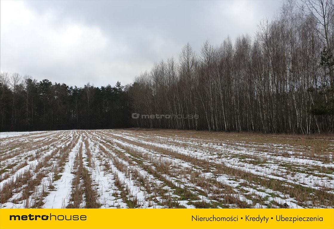 Działka leśna na sprzedaż Wojnów  22 000m2 Foto 3