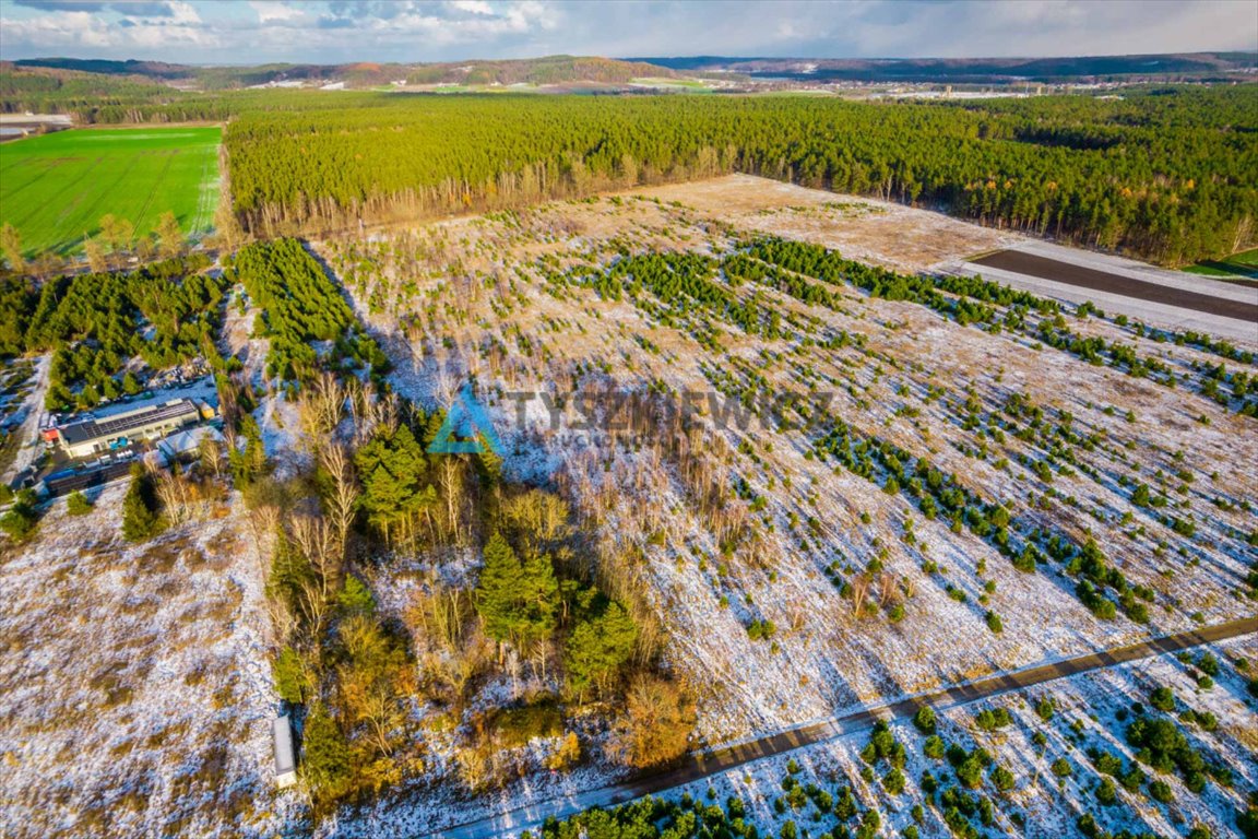 Działka przemysłowo-handlowa na sprzedaż Bożepole Małe  36 800m2 Foto 2