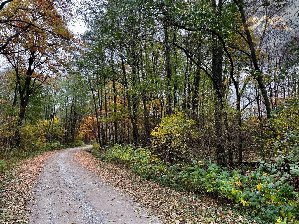 Działka budowlana na sprzedaż Biadoliny Radłowskie  6 800m2 Foto 1