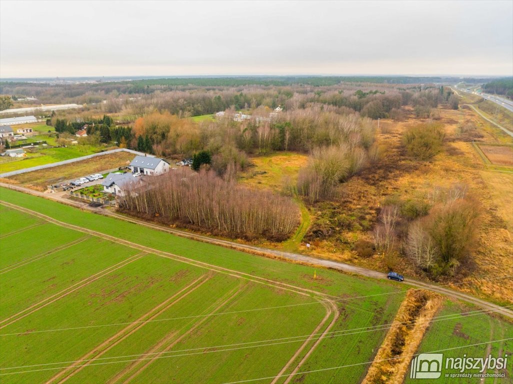 Działka rolna na sprzedaż Żółwia Błoć, Wieś  23 800m2 Foto 8