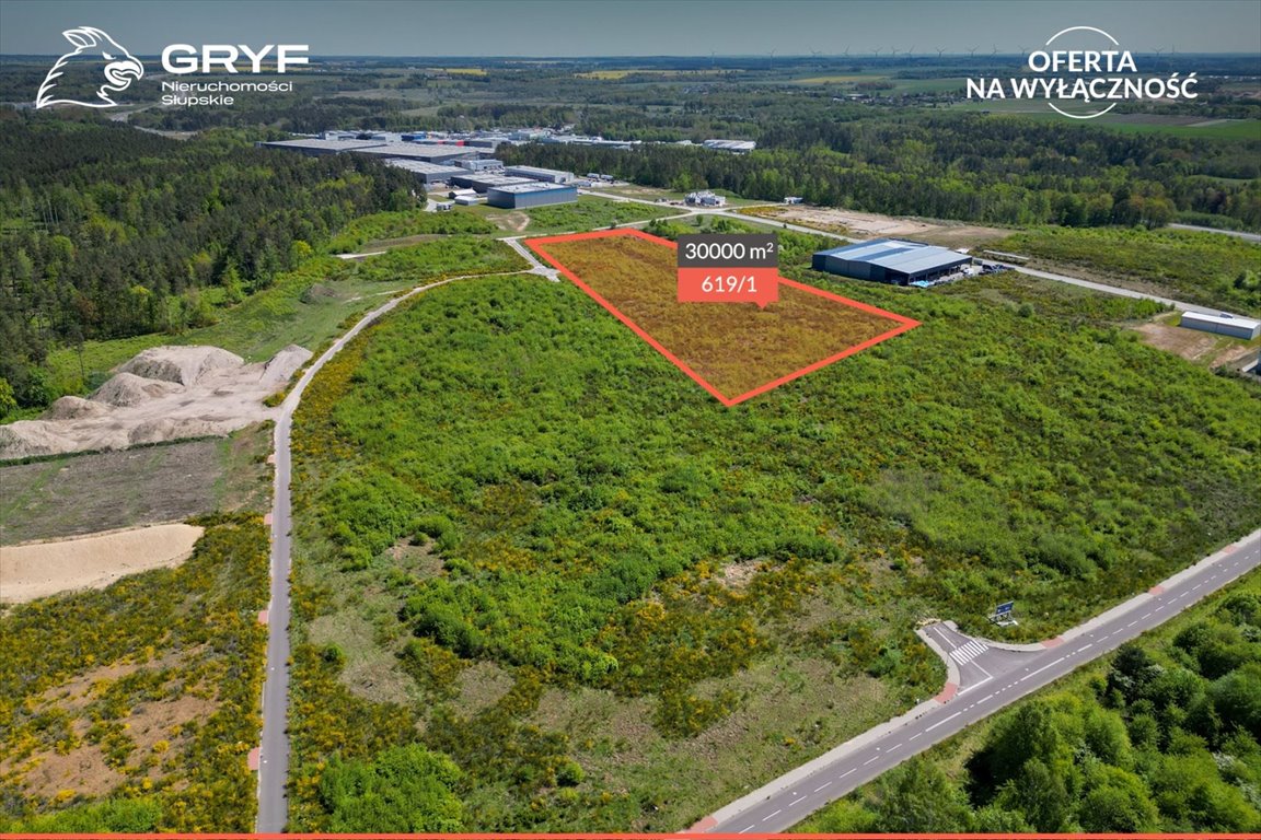 Działka inwestycyjna na sprzedaż Słupsk, Inwestycyjna  30 000m2 Foto 1