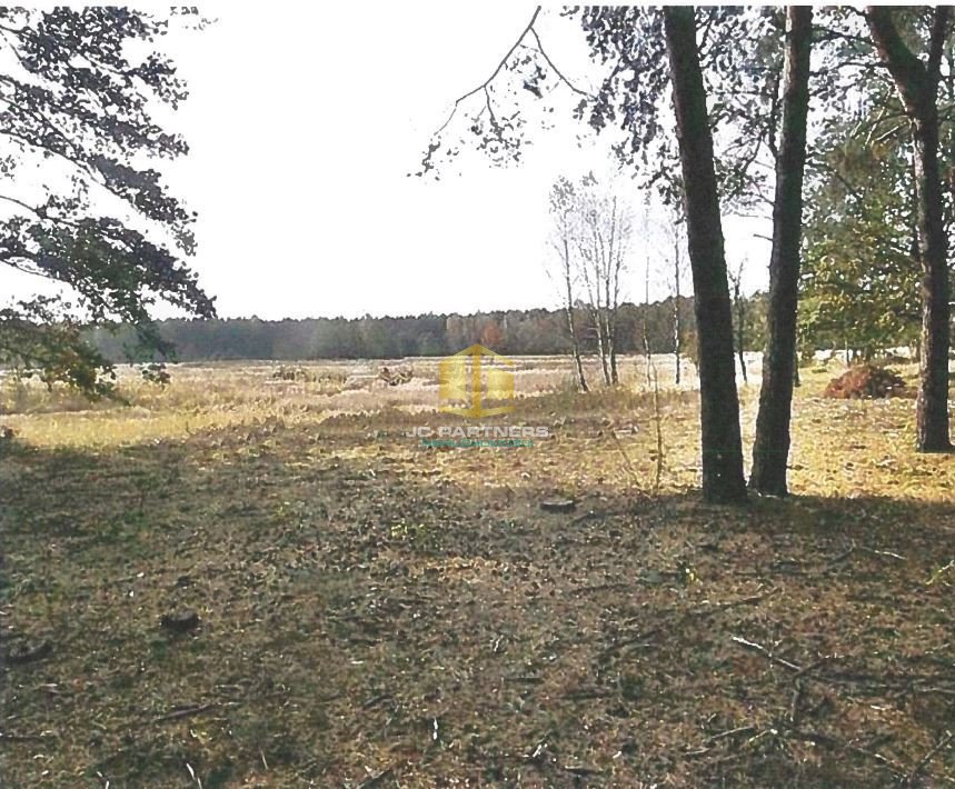 Działka budowlana na sprzedaż Kąck  27 000m2 Foto 2