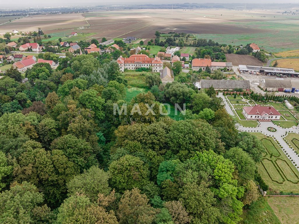 Dom na sprzedaż Małuszów  4 100m2 Foto 7