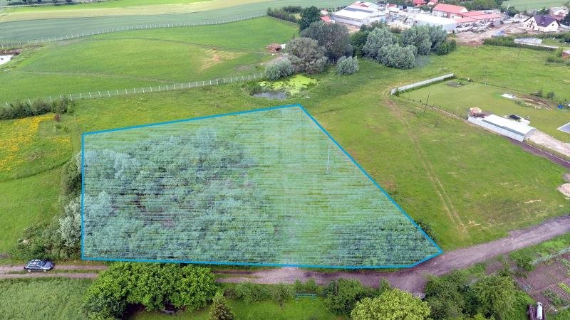 Działka inna na sprzedaż Gołębiewko 3 011m2 Foto 1 Działka inna na sprzedaż Gołębiewko 3 011m2 Foto 1