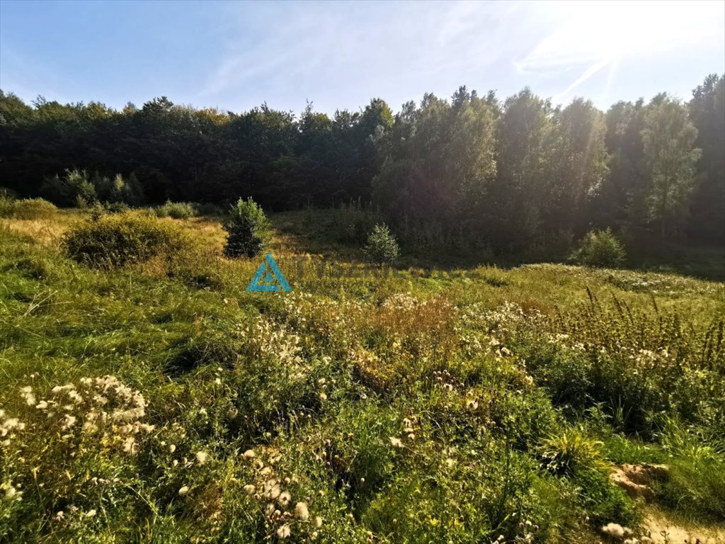 Działka budowlana na sprzedaż Ostrzyce  1 547m2 Foto 4