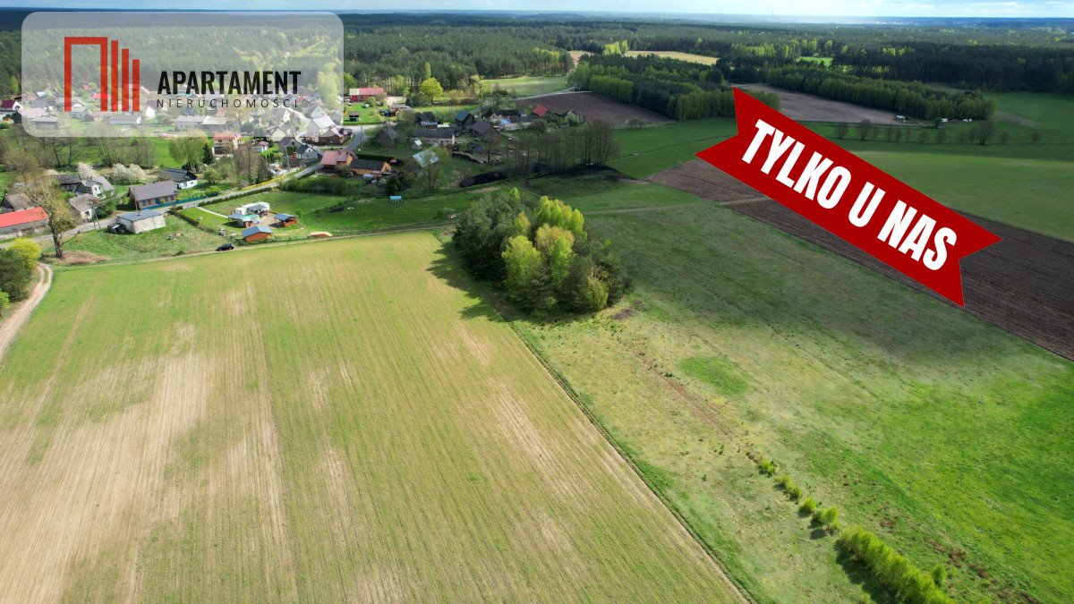 Działka budowlana na sprzedaż Lubocień  3 011m2 Foto 10