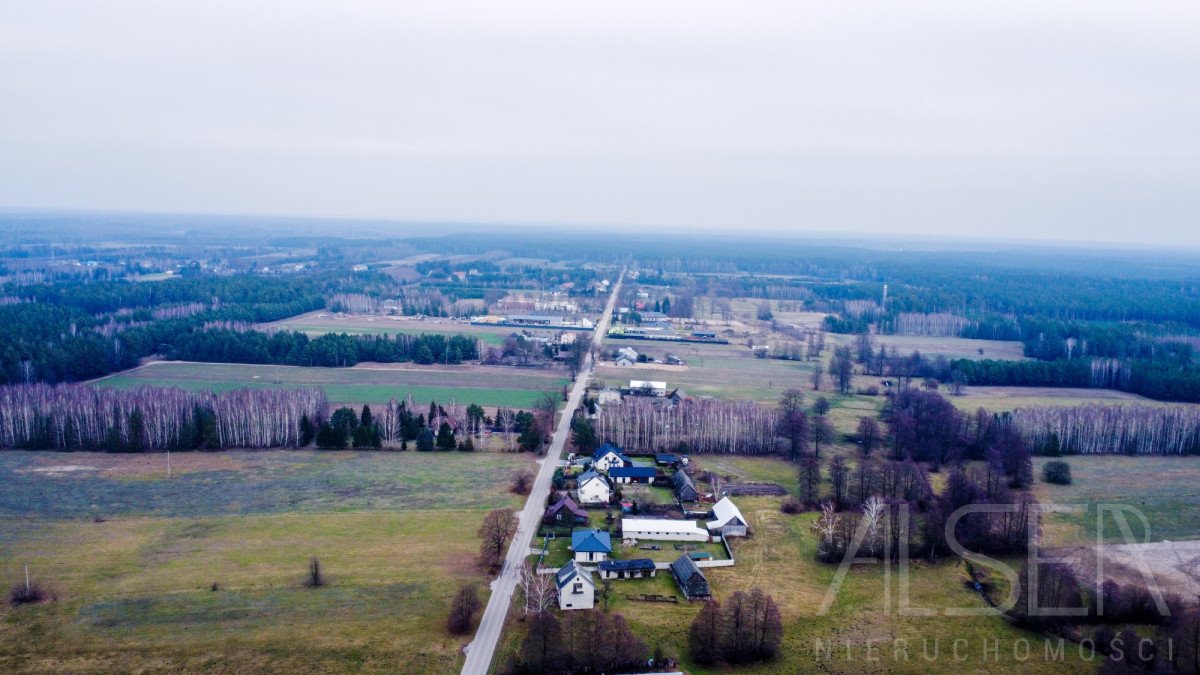 Działka rolna na sprzedaż Laskowizna  15 000m2 Foto 7