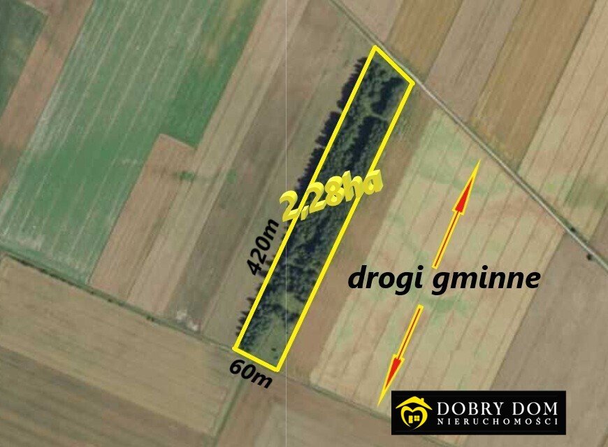 Na sprzedaż duża działka rolna 2,28 ha z brzozami w Krynki Krynki  22 800m2 Foto 1