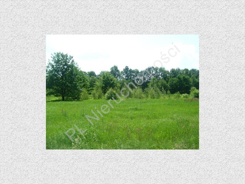 Działka budowlana na sprzedaż Chrzanów Mały 1 500m2 Foto 1 Działka budowlana na sprzedaż Chrzanów Mały 1 500m2 Foto 1