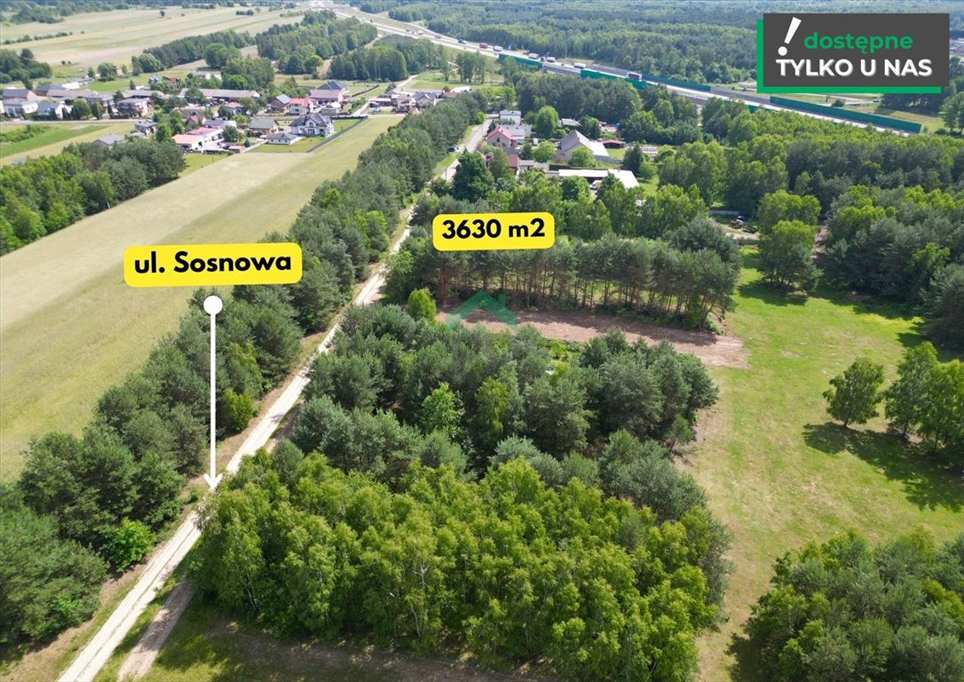 Działka rolna na sprzedaż Biała Dolna  3 630m2 Foto 4