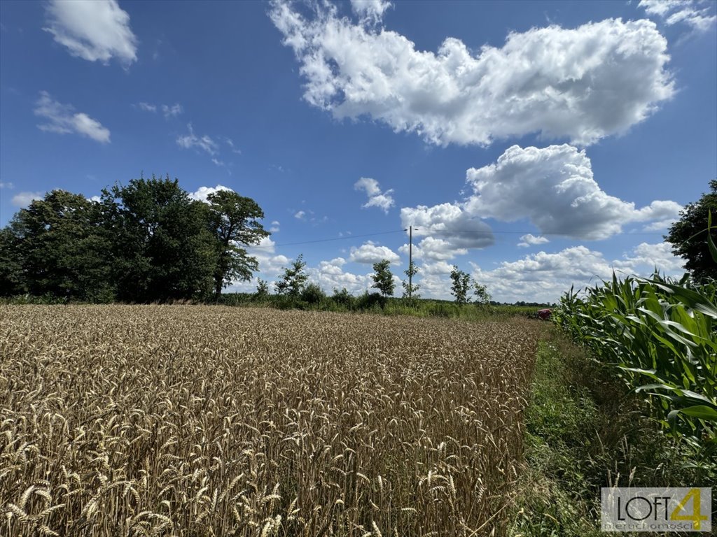 Działka budowlana na sprzedaż Borzęcin  4 400m2 Foto 11