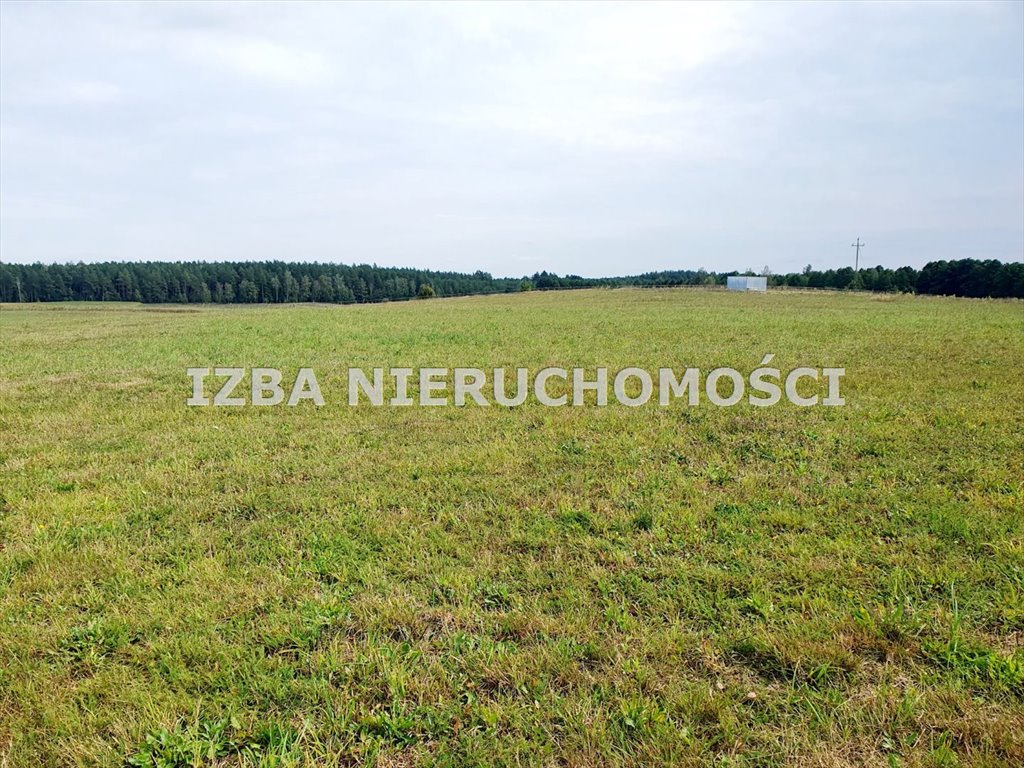 Działka rekreacyjna na sprzedaż Grabnik  3 400m2 Foto 12