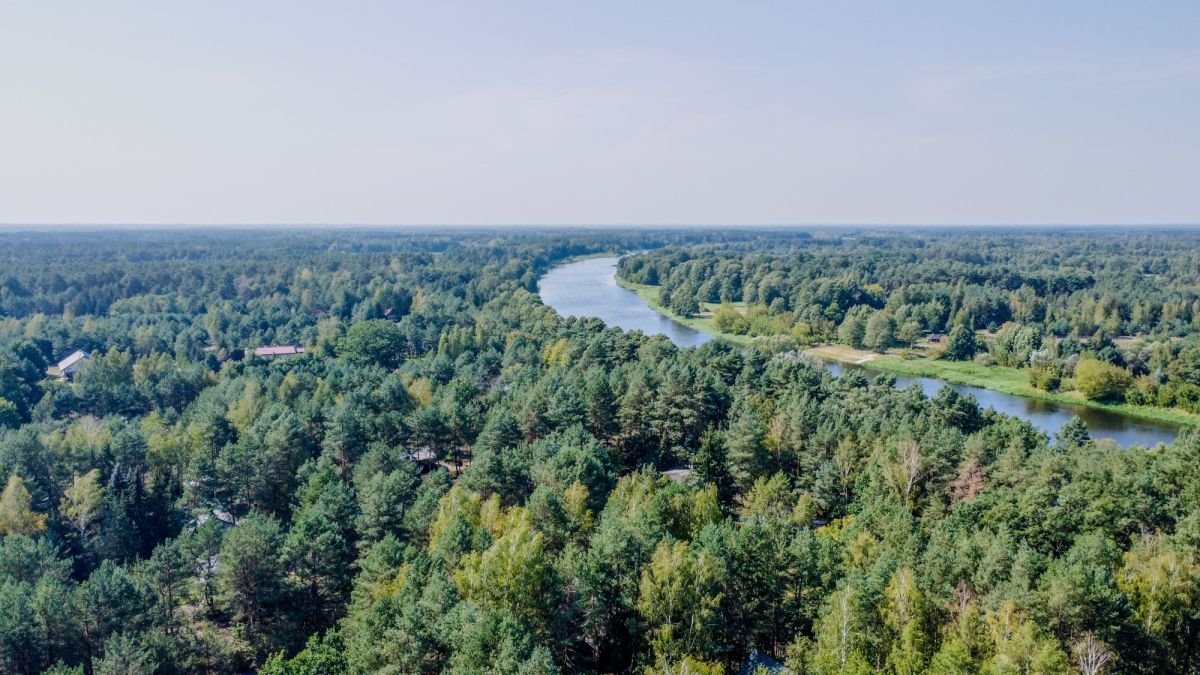 Działka rekreacyjna na sprzedaż Wólka-Wojciechówek, Topolowa  1 490m2 Foto 2