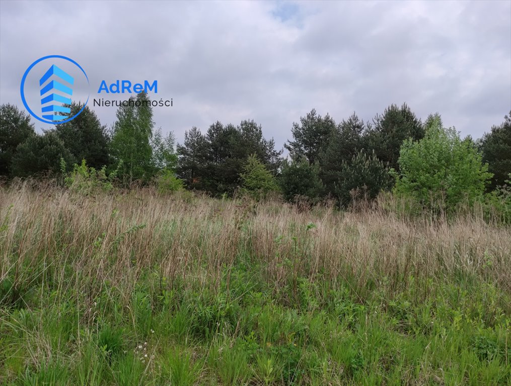 Działka rolna 3000 m2 w Opaczy – media, dojazd prywatny Opacz  3 000m2 Foto 1